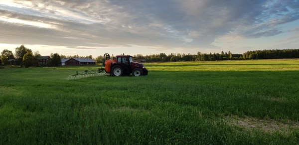 Kasvinsuojelu